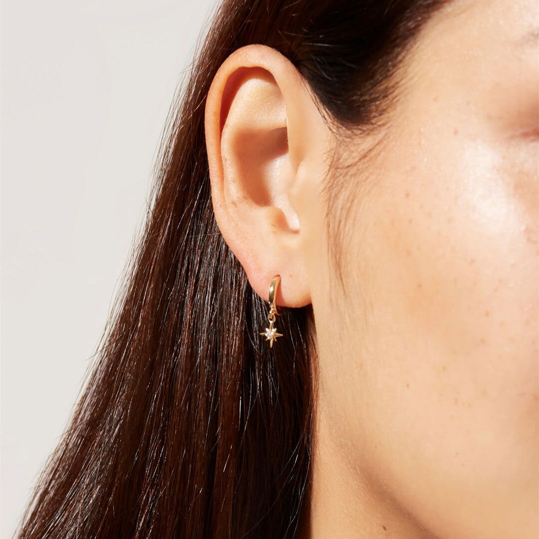 Modified title: Vudu Earrangs